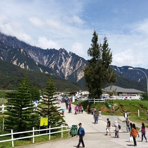 desa-dairy-farm-view
